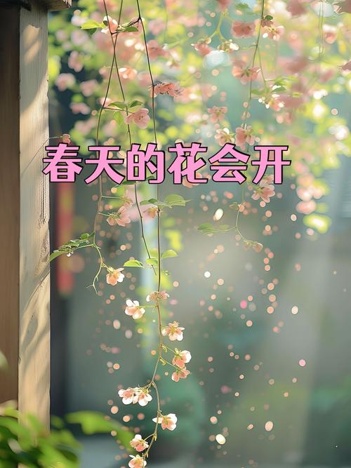 你的网站像春天的花儿，从这里开始！