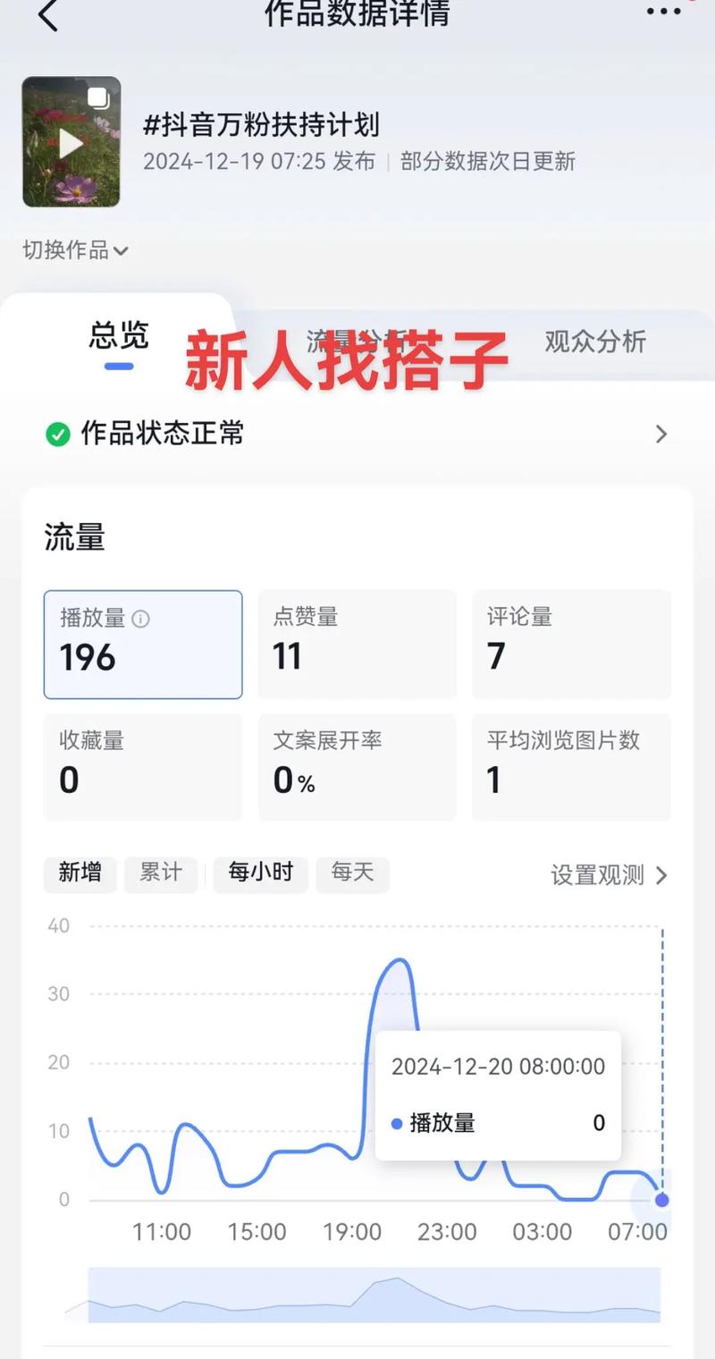 快手秒热评网站、KOL粉丝点赞、播放量，如何快速提升您的影响力