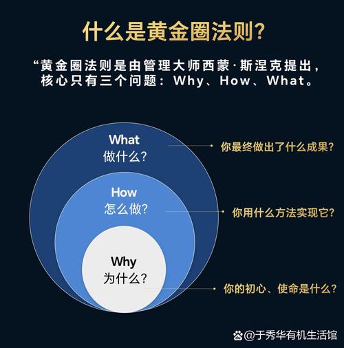 6万美元配置，选择的象征？还是隐藏的挑战？
