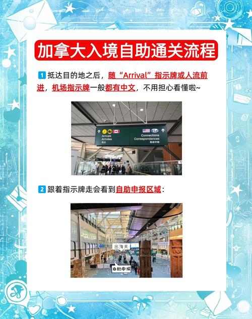 如何快速注册 dy 自自助平台，轻松获取用户信息