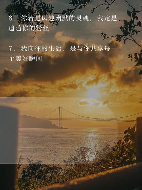 在快手上，如果你想要制作高质量的粉丝行为图片（如互动图片、粉丝互动视频等）并且希望低价操作，可以尝试以下方法