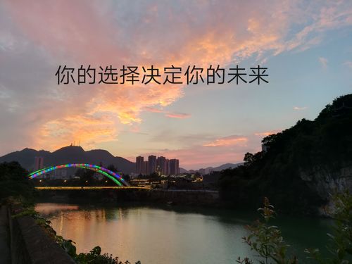 喇嘈与交易,抖音刷赞与ks自助下单,你的选择,你的未来