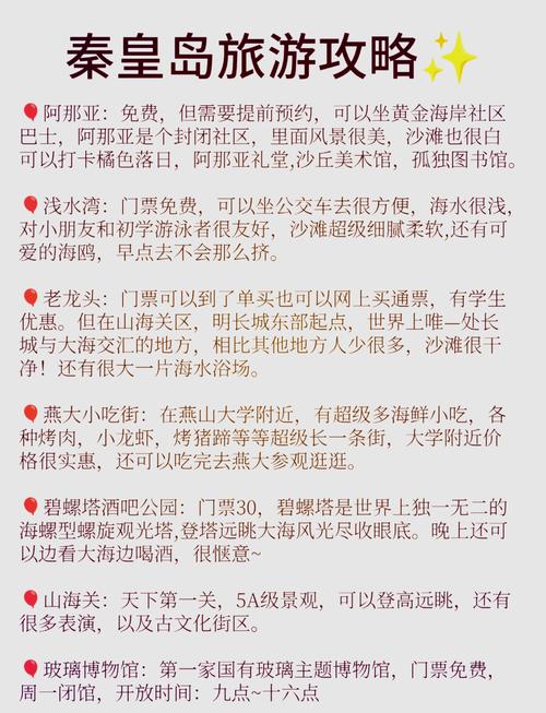 可爱的秦皇岛网络公司，选择时的必备指南