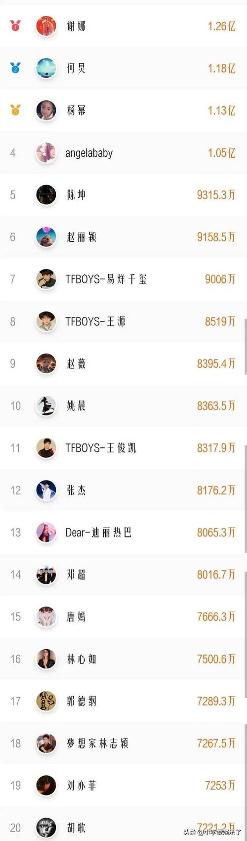 网络粉丝多的人叫什么？