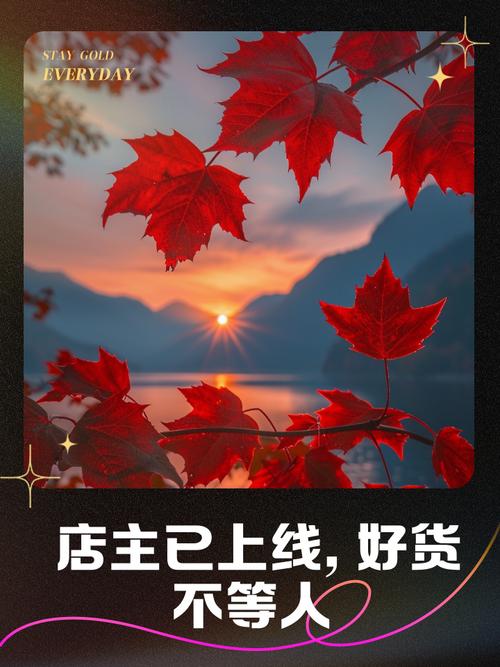 慢速杀,快速买到心仪商品,错过就要后悔