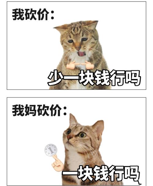 慢速杀，快速买到心仪商品，错过就要后悔