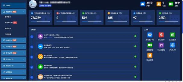 抖音刷浏览量分析，数据背后的故事与优化建议
