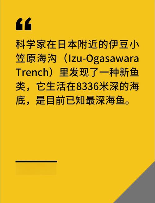 fish,中文网络用语中的神秘力量