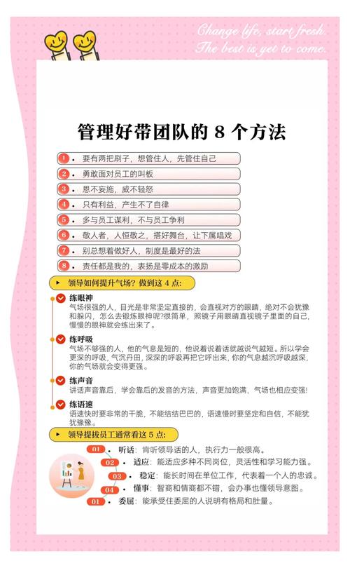 网络公司经验分享，如何高效管理团队？王飞的解决方案
