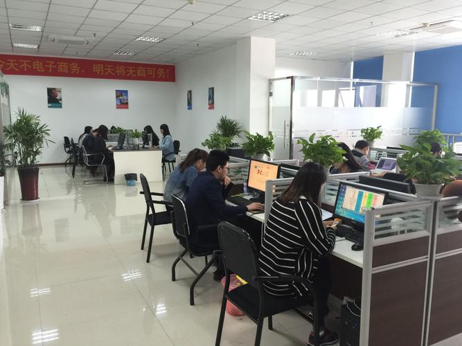 网络公司,杭州的经济和产业之王