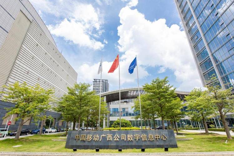 南宁网络公司,助力信息时代的青年崛起