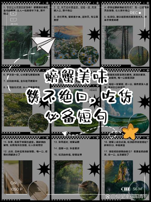 网络用语吃螃蟹,一场关于爱的寓言