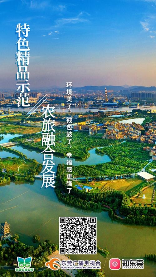 东莞商城，您打造成功 online 的关键！