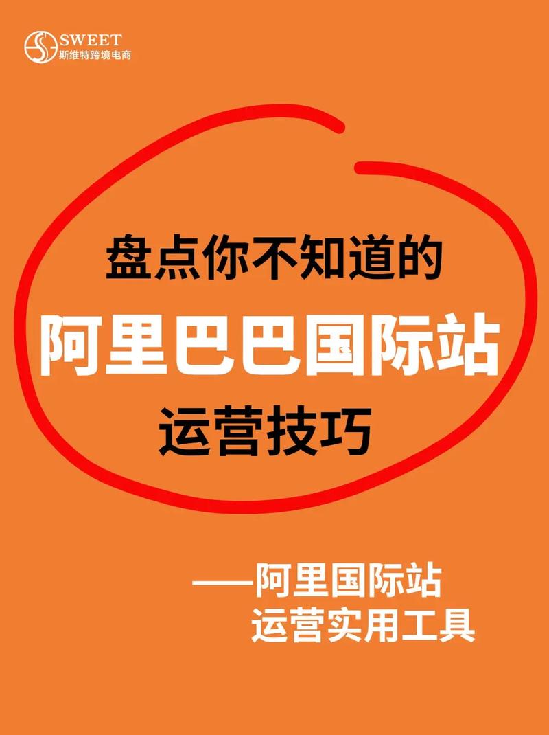 指南,阿里巴巴网站建设销售