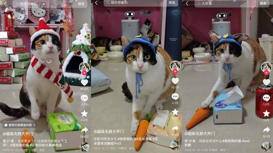 抖音刷双击下载，快手业务涨粉真的吗？