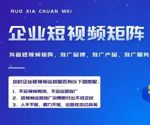 短视频平台双击与超低价市场的竞争与创新