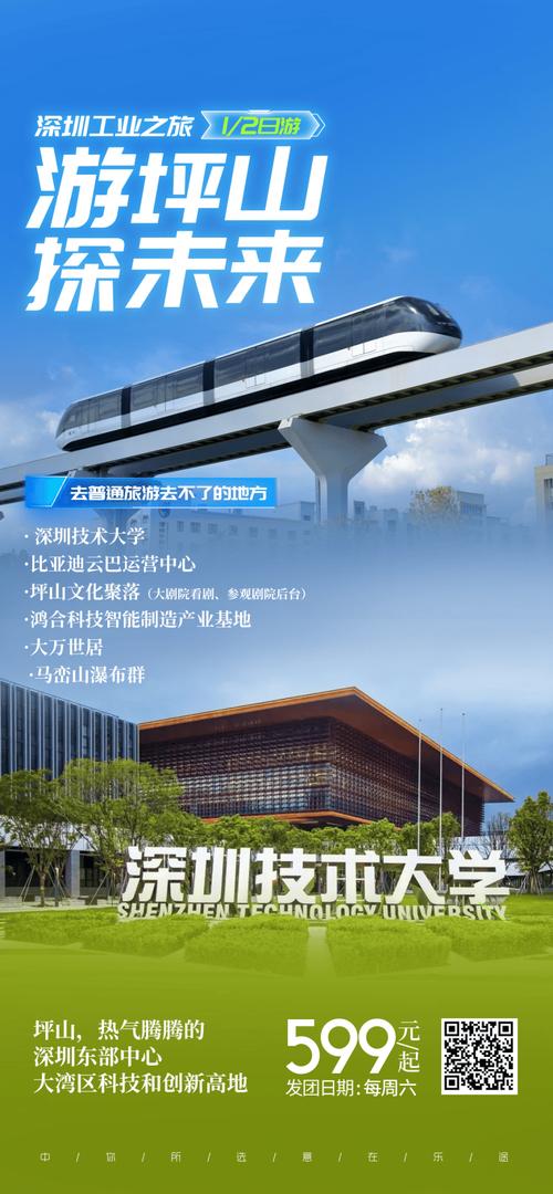 可靠坪山网站建设，打造专业化的 digital destination