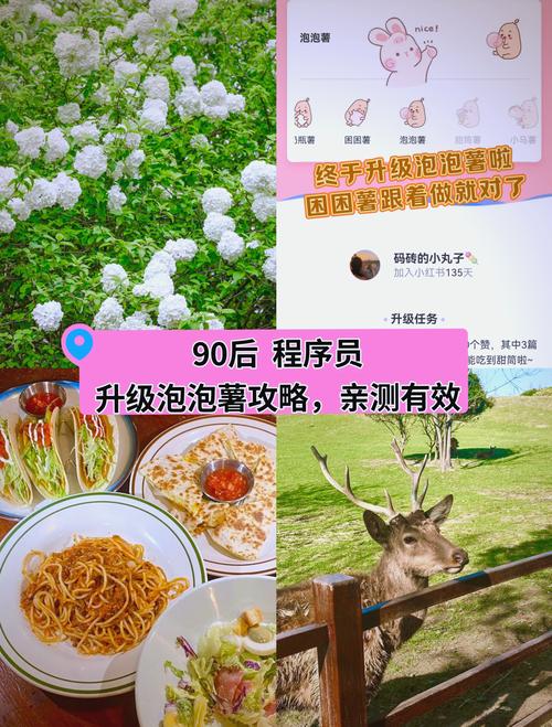 小红薯涨粉自助平台推荐，如何快速掌握小红薯的增色方案？