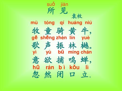 选搭无忧，选你所见