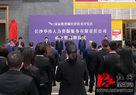 长沙素力网络科技公司，助力 Your项目成功