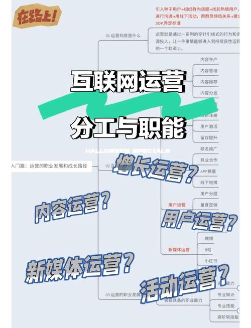 网络运营小技巧，蛛点网络的全生命周期优化之道