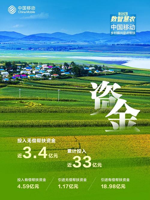 汉中中企动力网络公司,助力乡村振兴的数字化转型