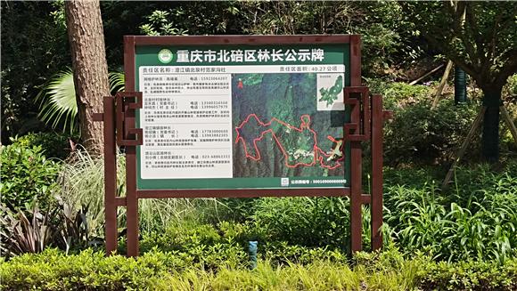 北碚地区网站建设的指南与选择