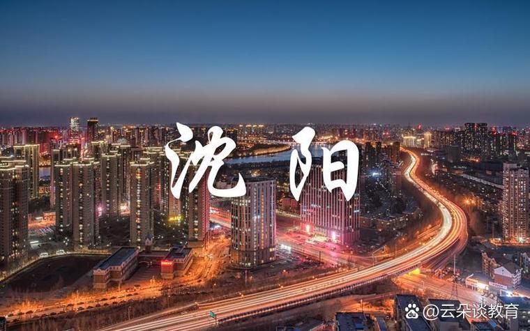 沈阳横纵网络，互联网产业助力城市发展的重要引擎