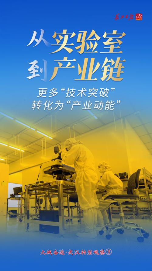当经济活力与城市发展同频共振，武汉从联网络有限公司看机遇与挑战