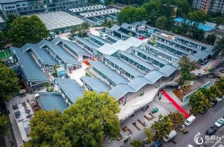 温岭建站指南，让网站焕发新生机！