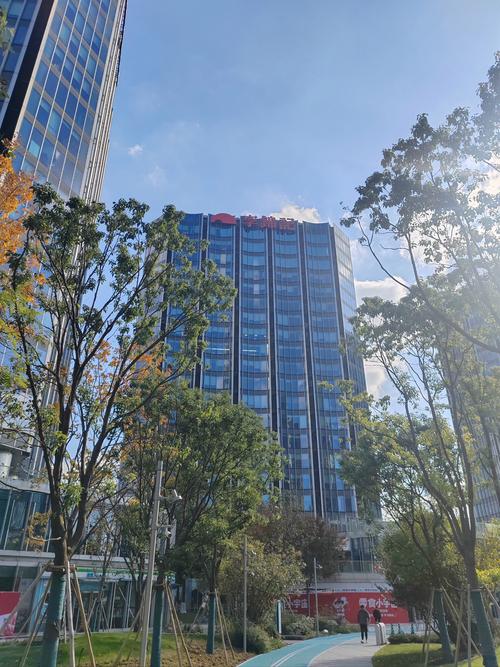 198网络公司，长沙的一片新天地