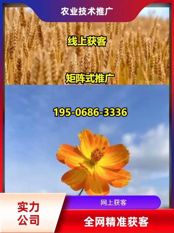 枣庄精准营销策划方案及实施指南