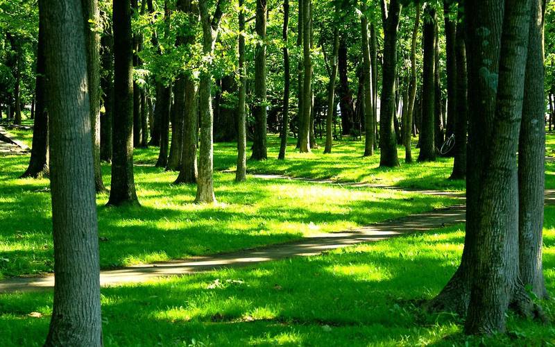 快手低价业务指南