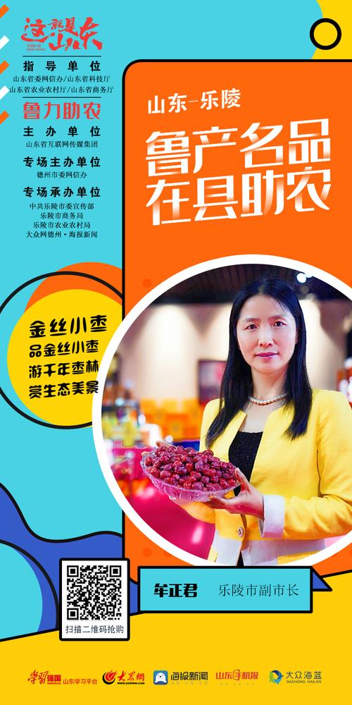 乐陵电商网站优化指南，让市场更透明