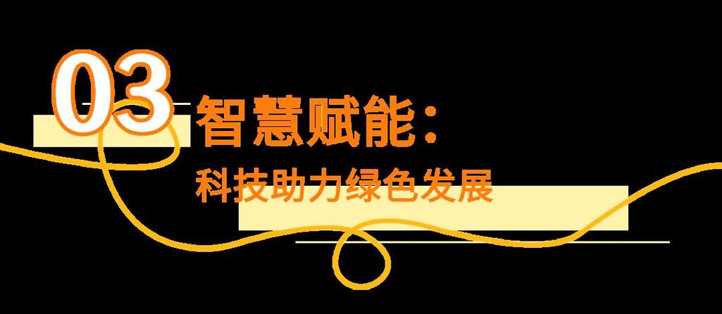 白云区专业网站建设，助力科技发展