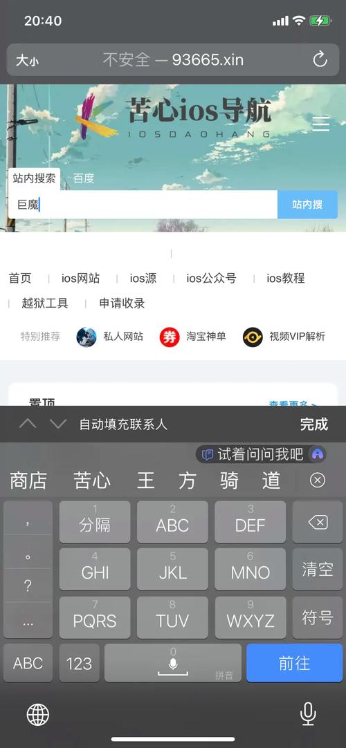 网络平台就是app么？