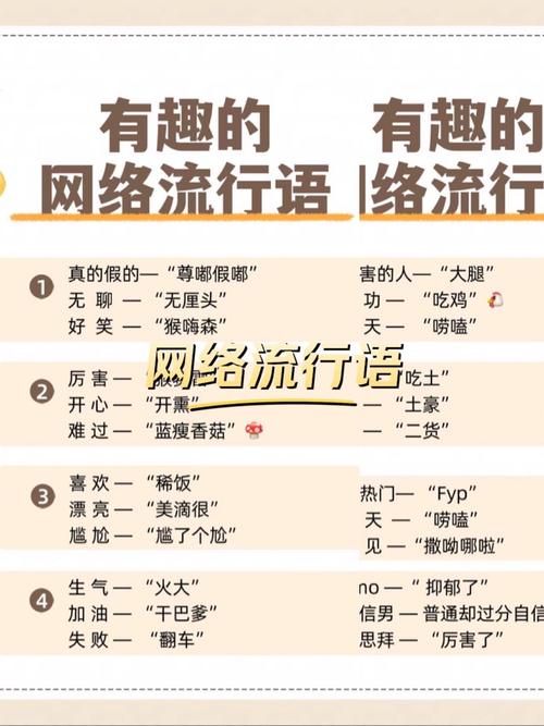 网络用语，文化密码中的语言