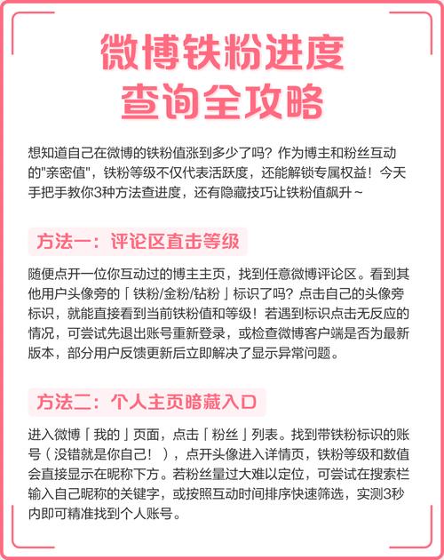 粉条粉条，快手上的高效运营指南