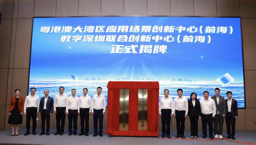 深圳网派网络科技，技术驱动的创新之旅