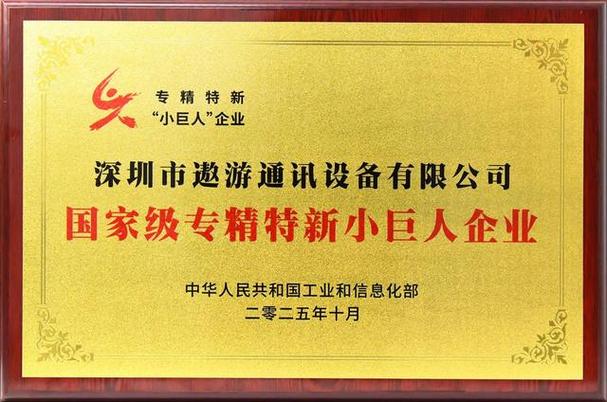 重庆网络推广，助力企业发展，构建品牌价值