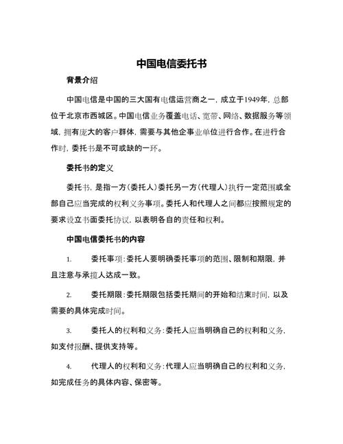 网络负责人委托书