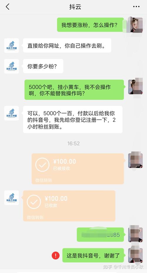 抖音刷屏双击上热门，粉丝业务穿搭如何助你轻松盈利