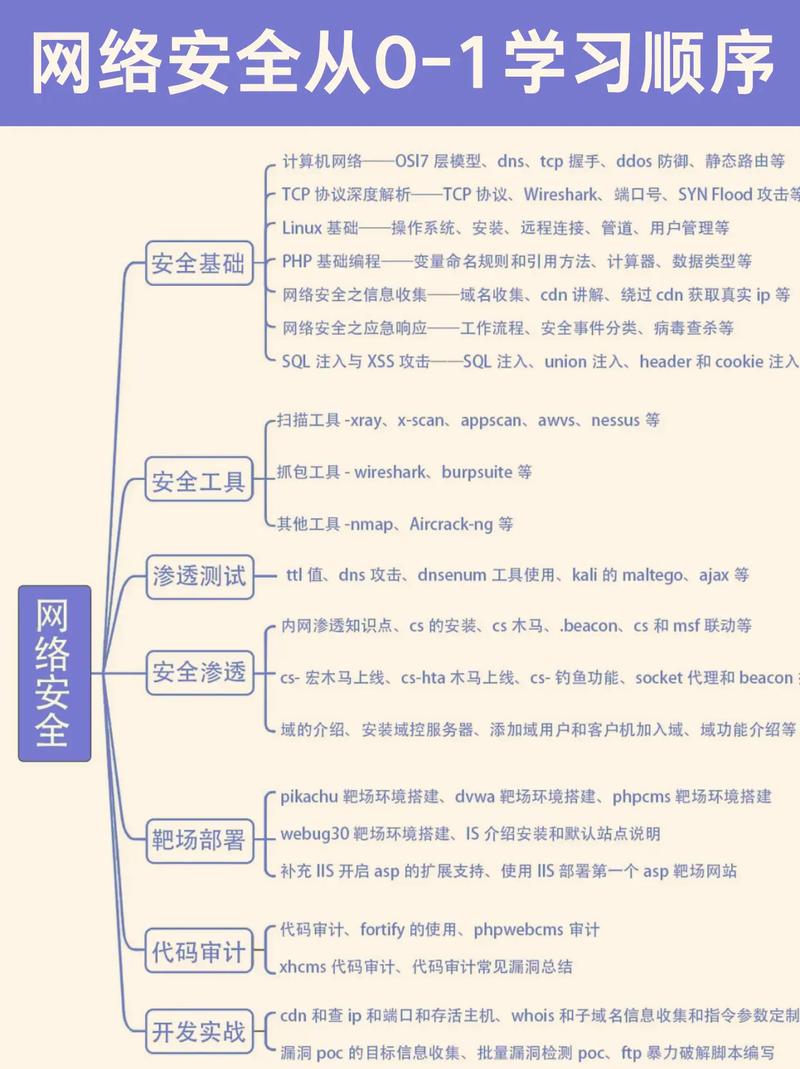 河南网络建设，从零到专业的指南与案例分析