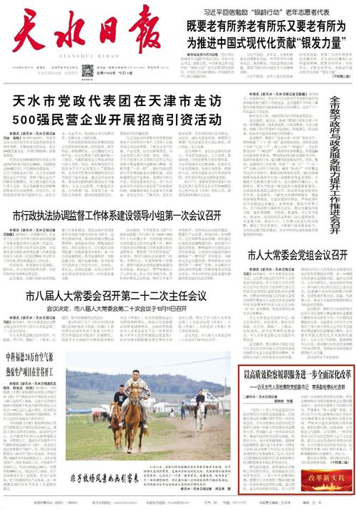 天水网络优化行业报告