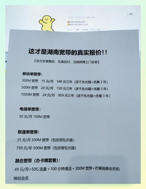 在湖南，专业的营销价格真的能省下一大笔钱吗？