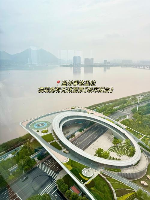 温州网站建设小公司，打造城市品牌的新途径