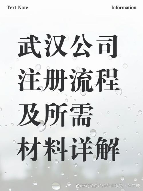 如何在武汉注册一个合法的网络公司?