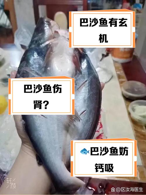 广州巴沙鱼疫情最新动态，保障市民健康的关键时刻