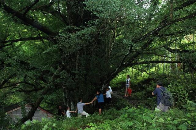 大围山景区疫情最新消息指南