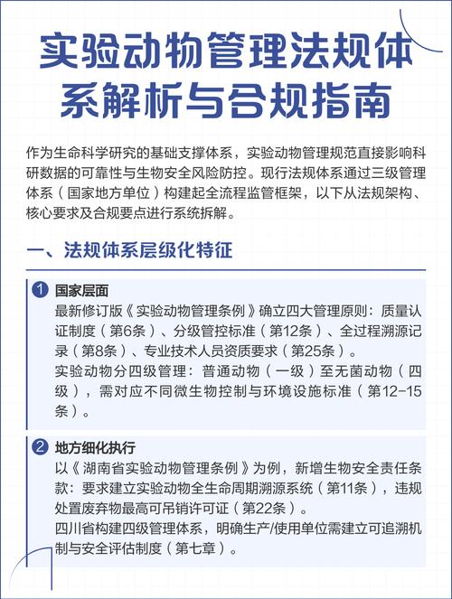 代播服务的选择与风险解析，从合规到经济的双重选择